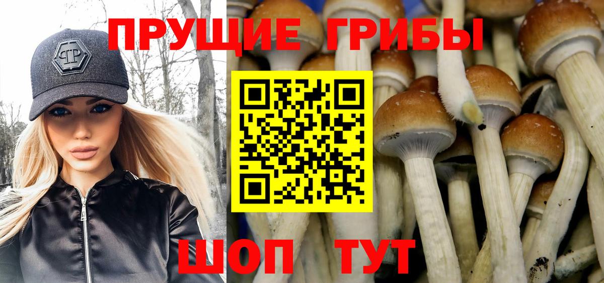 Псилоцибиновые грибы Magic Shrooms Ейск